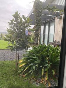 Luxury Modern Farm Stay with Country Living