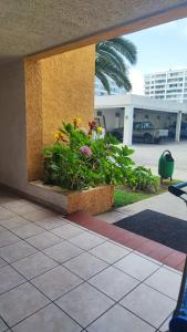 Departamento avenida del mar