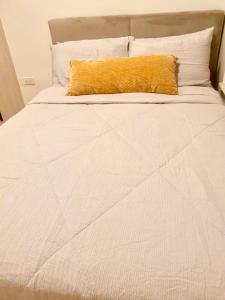 Luxury 2 bedroom 2 bath Apartment near Bai Hotel