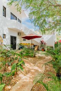 El departamento de los Nonos