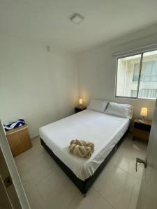 Ambiente Caribe! piso 26 - 3 hab