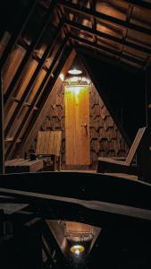 Parque Repuleufu Chiloé