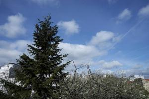 Appartements Studio cosy a Clermont-Ferrand 25 m² proche transport : photos des chambres