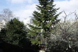 Appartements Studio cosy a Clermont-Ferrand 25 m² proche transport : photos des chambres