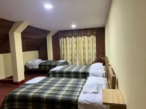 Hospedaje Andrea - Вилья-Рика