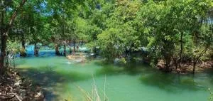 Mistico - El Naranjo