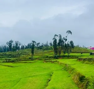 Teyt's Green Haven - 3 BHK - Pykāra