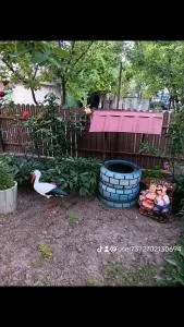 Casa Dan Proco - Mineri