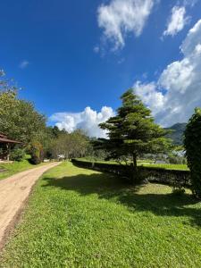 Angha forest view บ้านเพลินใจ