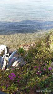 Felicity Seafront Luxury House