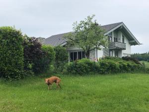 Ferienwohnung Aubach