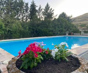 Casa Fuentes de Ledina