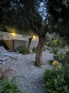 Antonio Massa Lubrense