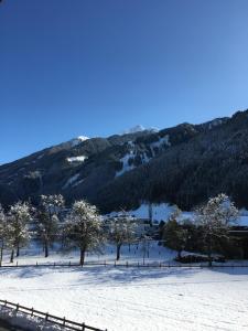 Ferienwohnungen Haus Margit