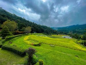 Angha forest view บ้านพิงใจ