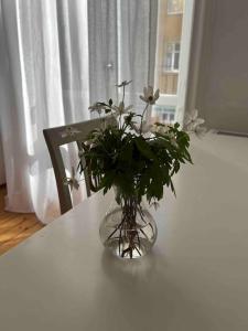 Modern lägenhet med balkong