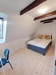 Large Double Room In The Center Of City - Kongstrup