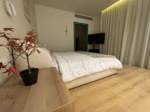 Apartment for rent in new cairo rent now