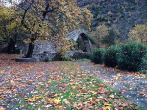 Artemis Apartments Epirus Greece