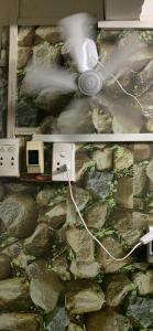 Homestay quận 3 - 1