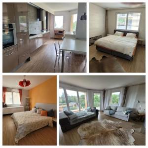 Mountain Lake View Deluxe