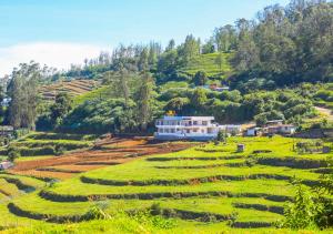 Silent Retreat Ooty Resort by VOYE HOMES
