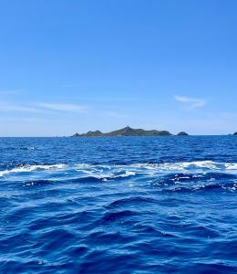 VUE EXCEPTIONNELLE - Ajaccio T3 rte Sanguinaires - Santa Lina
