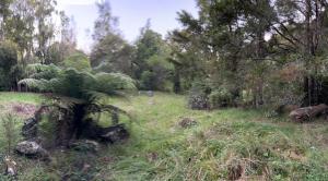 Chalet 13 Bedlington