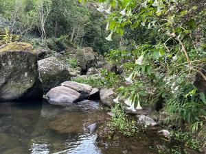 Chalet 13 Bedlington