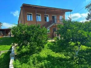 Irakli Guest House - Gvishtibi