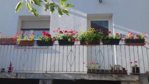 Gite le figuier de lill