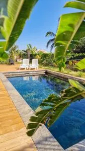 Manapany and Rose - Manapany-les Bains