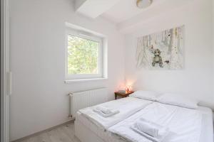 Earthy Elegance Apartment