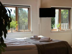 Vindvadet Ferielejligheder