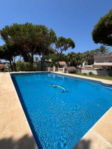 "LOS ROSALES Apartment, 500m to the beach"