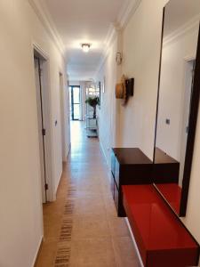 Alejandro Apartament Neptuno