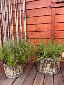 Duży całoroczny domek - dwie łazienki, balia