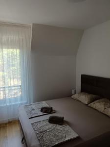 Apartman Tole Divčibare Kota 992
