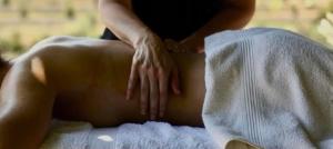 Suite La Duchesse - SPA-JACUZZI - MASSAGE- SAUNA - 4 SAISONS - Piscine chauffée Toute lannée - 800m centre ville