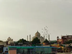 The Vacation Villa - Sikandra