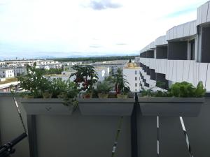 Apartment mit Bergblick
