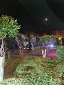 Apartment Fes Urban Elegance - Garden & Pool