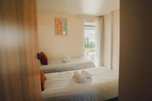 Campings Sauvage : photos des chambres