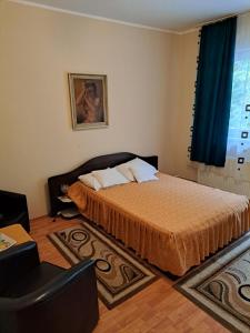 Pensiunea Floriana