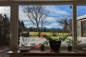 Ferienwohnung mit Garten und Bergblick