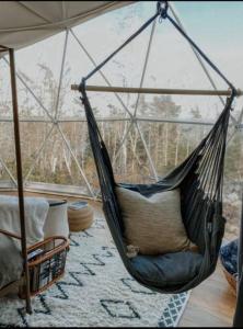 Forest Shore Dome