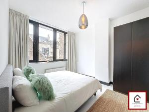 Le Cœur DAnvers - Architectural Townhouse