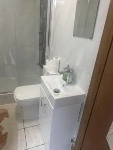Leyton Orient Stduio Flat - London