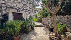 Cozy Guest House Kamenita