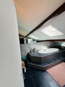 Loft vue sur Lac dAnnecy et Montagnes